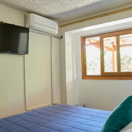 Hostal Aldea Colchagua Experience Santa Cruz Luaran gambar