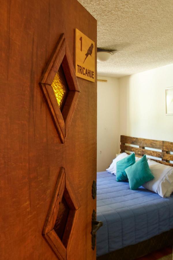 Hostal Aldea Colchagua Experience Santa Cruz Luaran gambar